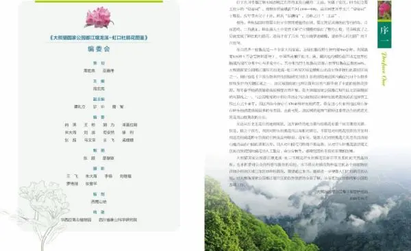 这里藏了35种杜鹃花！美翻了……