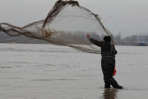 淡水鱼不能在海水中生存，那黄河流入大海后，大量的鱼去哪了？