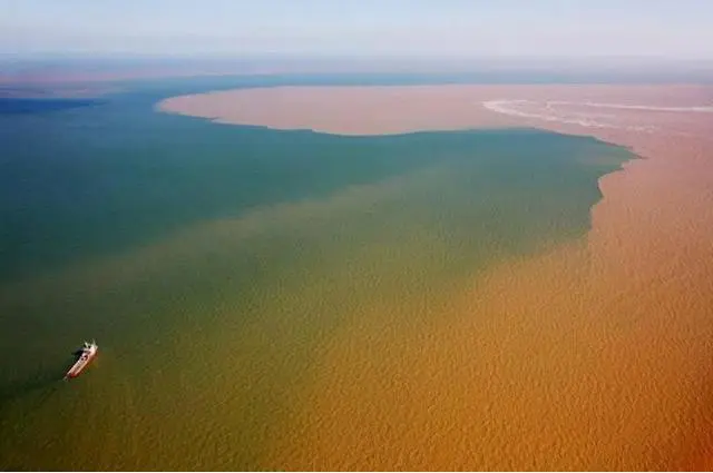 淡水鱼不能在海水中生存，那黄河流入大海后，大量的鱼去哪了？