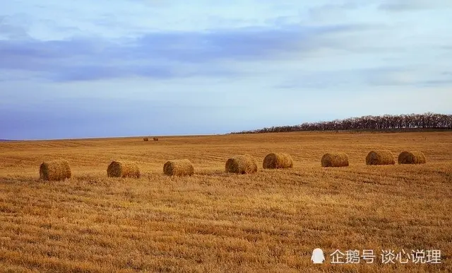 7月，一念天涯，痴心绝对，3星座和好如初，和旧爱甜蜜相拥