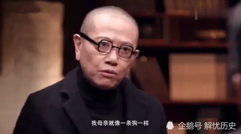 陈丹青：“我的母亲就像一条狗一样死掉了”，文化人都这么说话吗