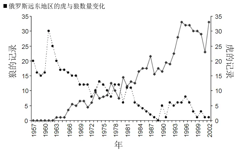 东北地区，猛虎高效屠狼，西南亚一带，为何老虎却不敢驱逐狮群？