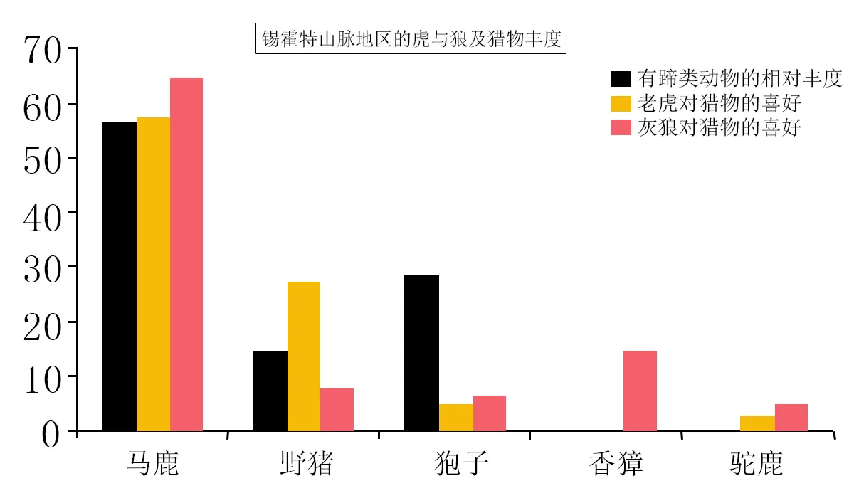 东北地区，猛虎高效屠狼，西南亚一带，为何老虎却不敢驱逐狮群？