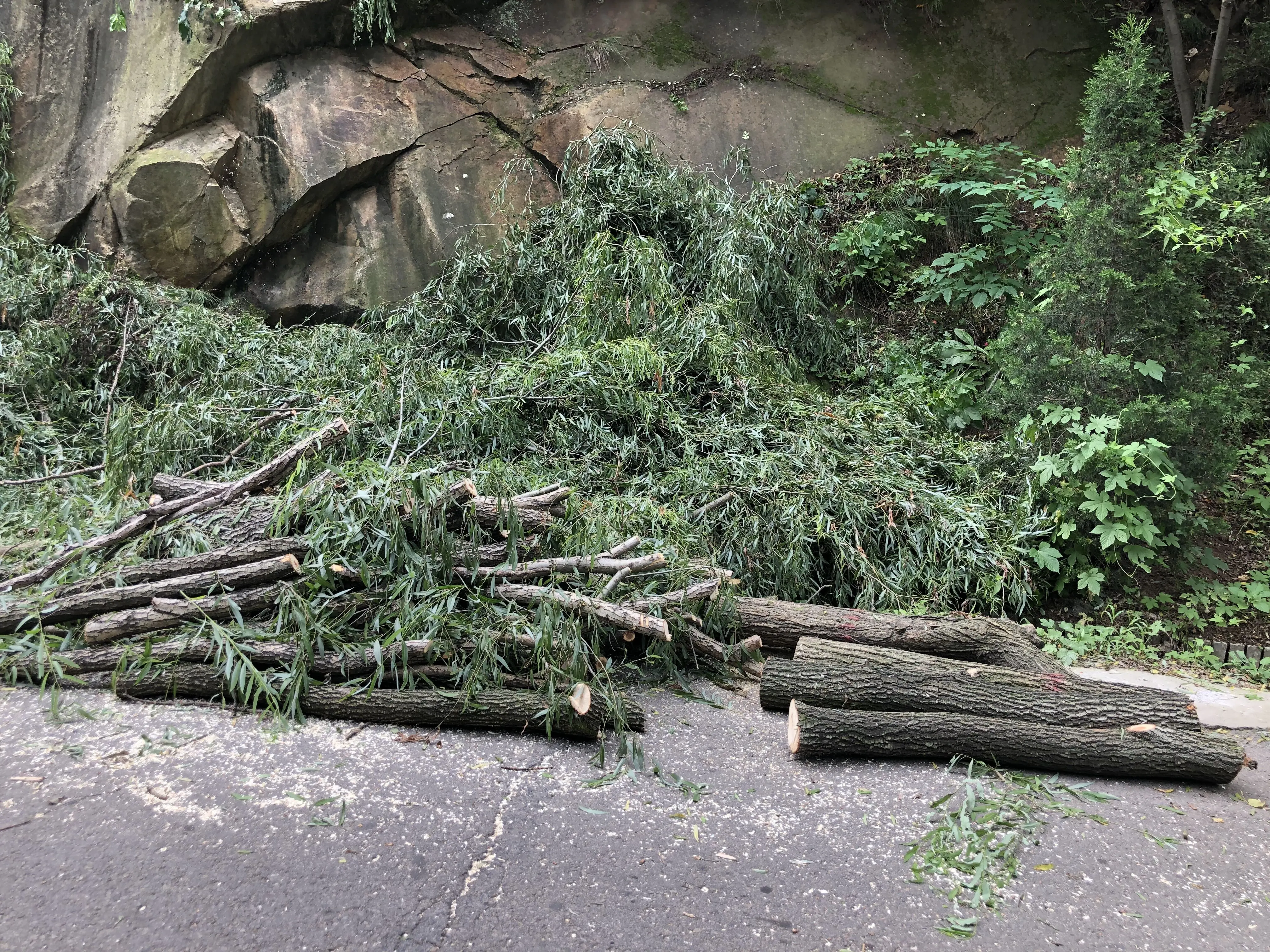 俗话说：“骑马拜堂，家败人亡”，你知道“骑马”指的是什么吗？