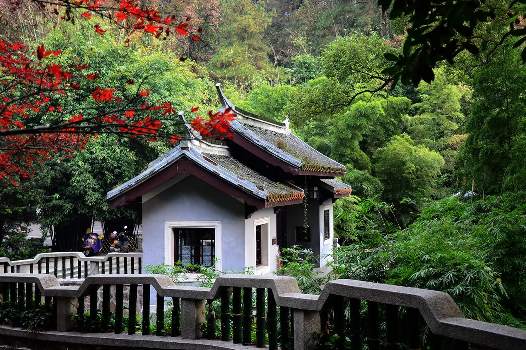 湖南最有良心的景区，一年四季都是旺季，因不收门票损失十多亿