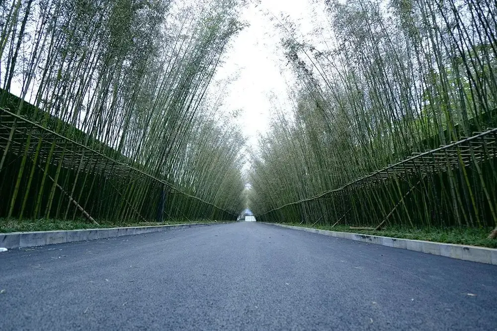 无间水境｜中梁·沐宸院