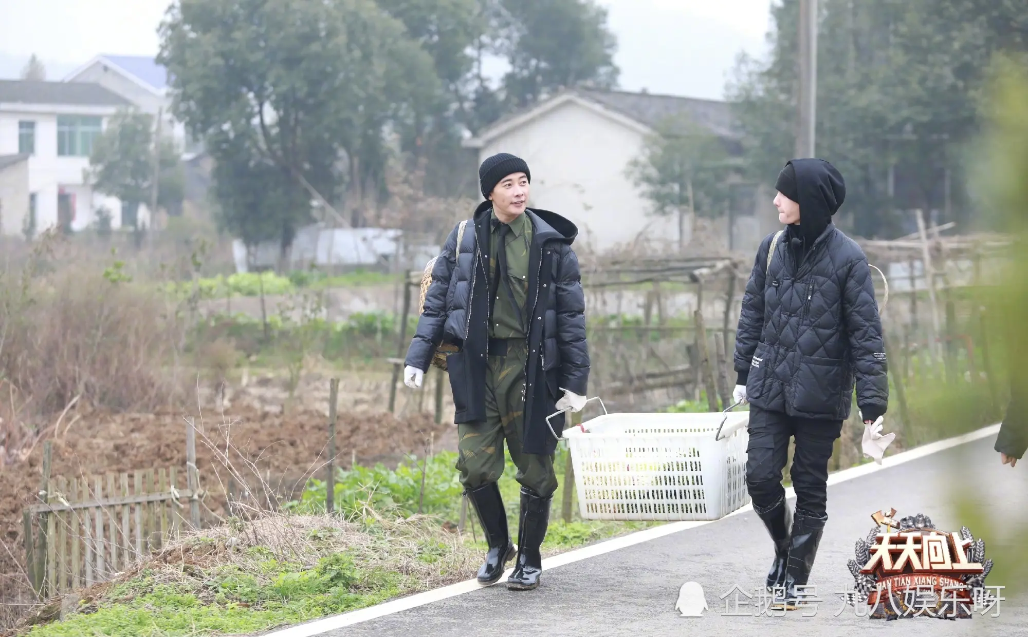 《天天向上》为钱枫多次相亲，却不敢给王一博安排一个女搭档