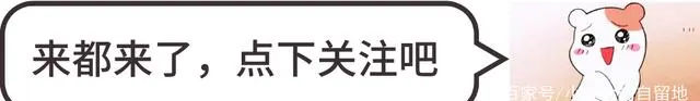 《西游记》最贵女演员，花高价租飞机请来，仅出镜几分钟却成经典