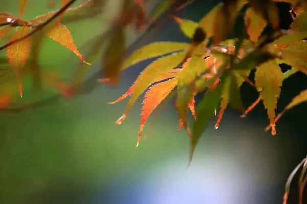 《西游记》里，隐藏着这些潜规则