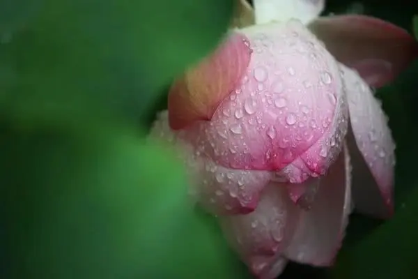 《西游记》里，隐藏着这些潜规则