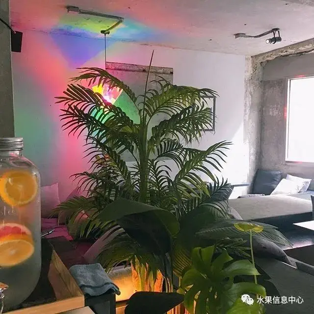 隐藏在小巷里的网红水果店，入口竟然是冰箱门