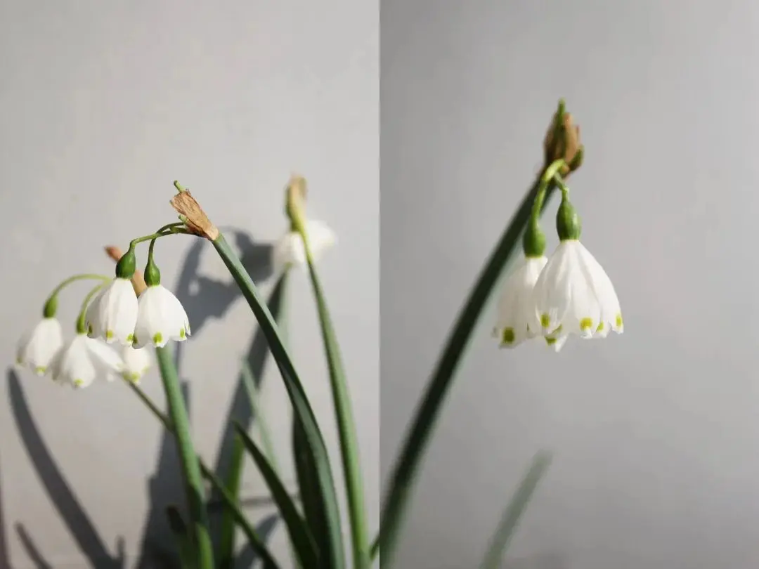 冬天不种花，春天徒悲伤