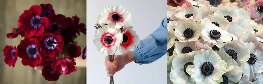 冬天不种花，春天徒悲伤