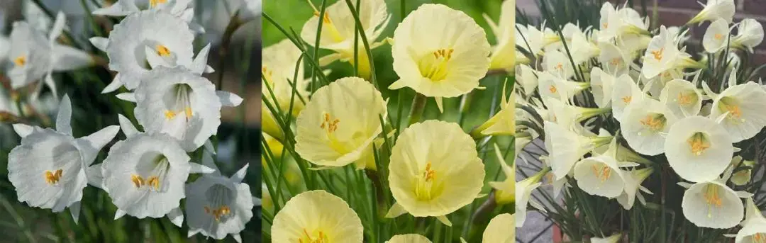 冬天不种花，春天徒悲伤