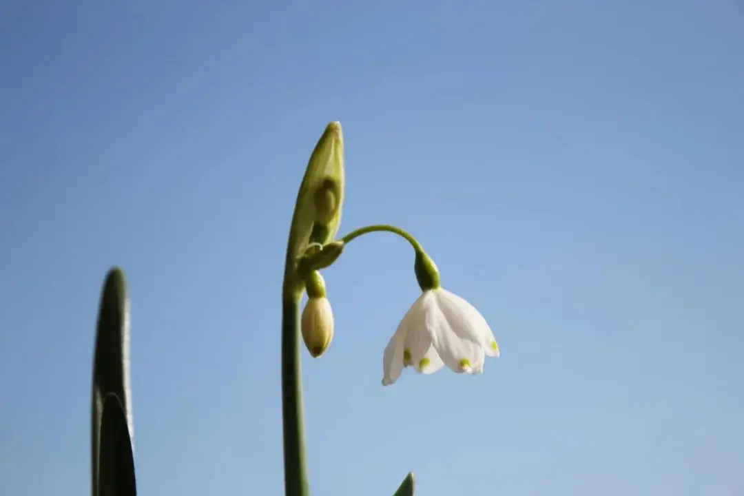 冬天不种花，春天徒悲伤