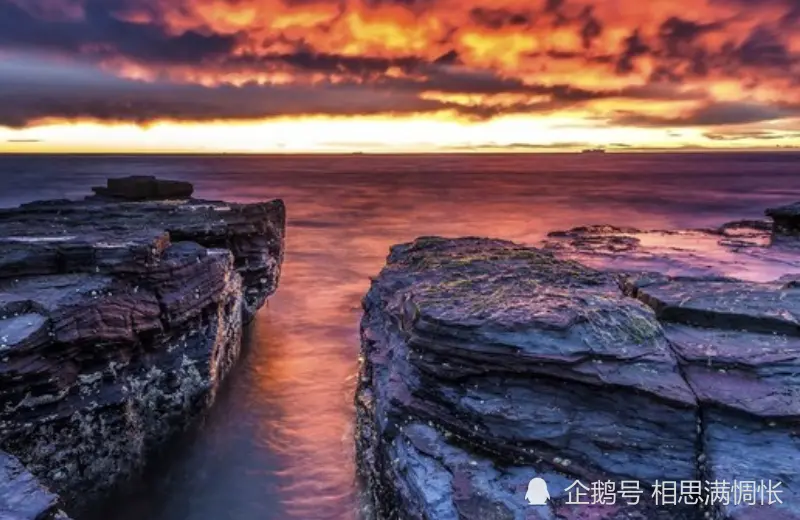 12月中旬开始，财富追着跑，运势大好，事业上升的生肖