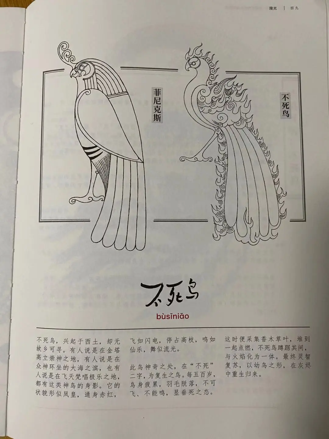 五行龙、印度龙、西方龙，你认识多少中国古代神奇动物？