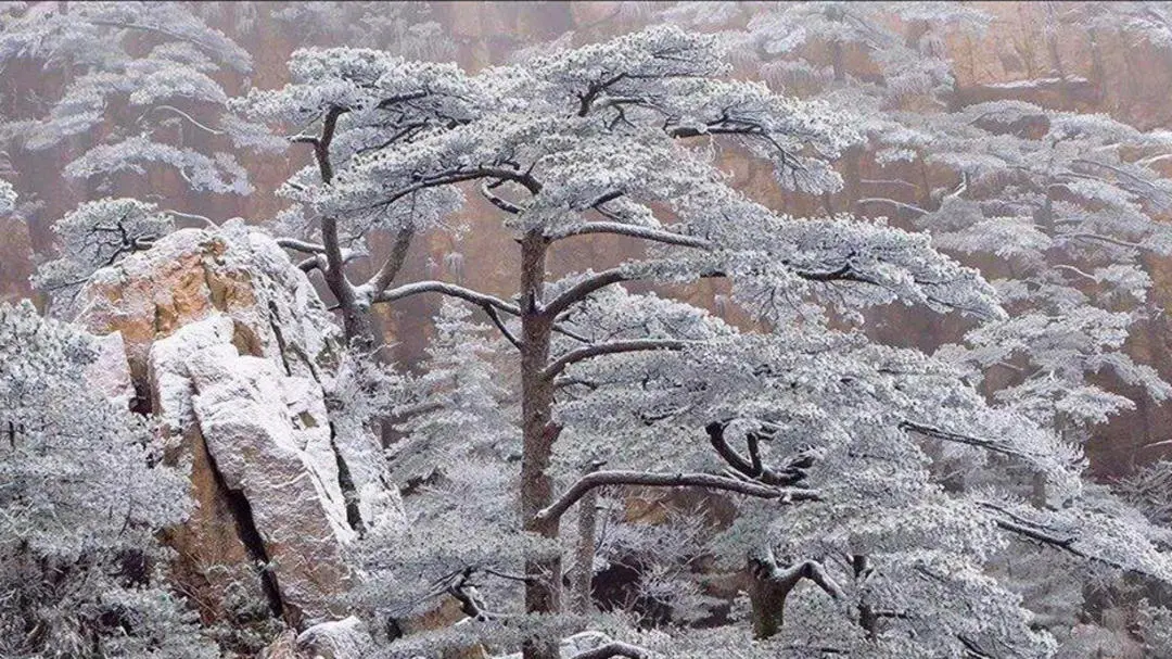 草堂读诗｜故事：飞白《大雪》