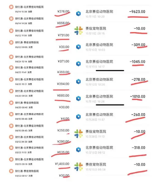 仓鼠进ICU抢救，带狗狗拔牙花了一万三，宠物看病比人贵合理吗？