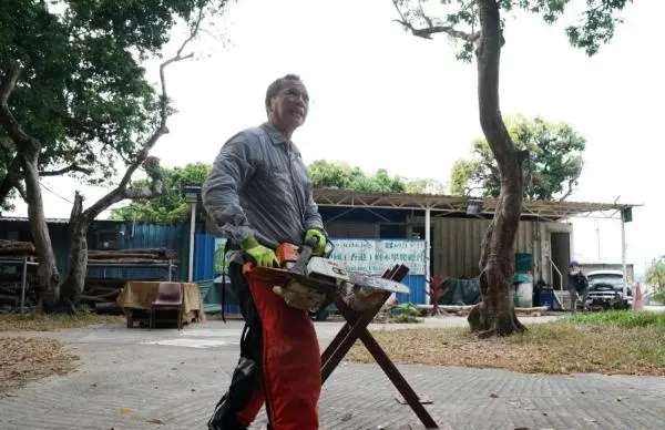 香港“树医生”李国文：治愈树，被树治愈