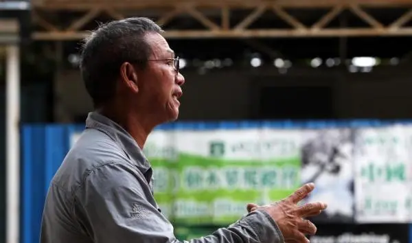 香港“树医生”李国文：治愈树，被树治愈