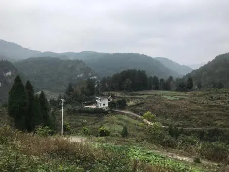 《逆风飞扬》丨唤醒大山活力的电商经济