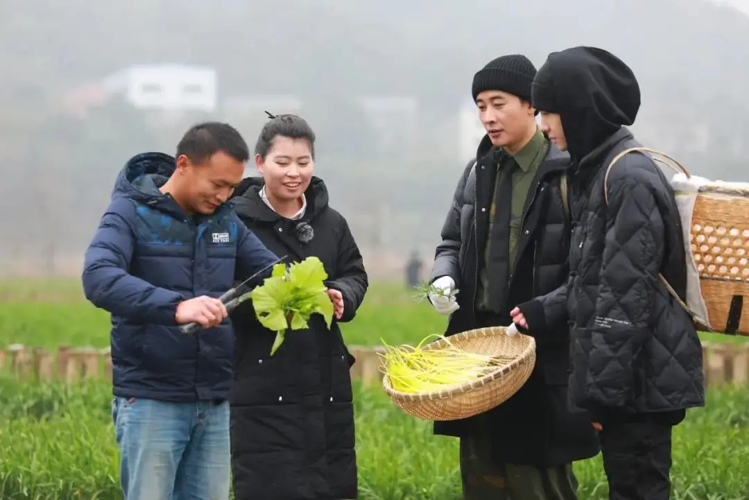 《天天向上》探寻美食边角余料 王一博罗晋厉行节俭干农活