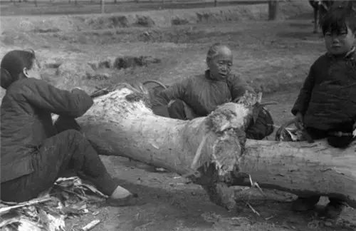 1942年河南大饥荒真实旧照：饿死300万人，吃树皮的孩子看着心疼