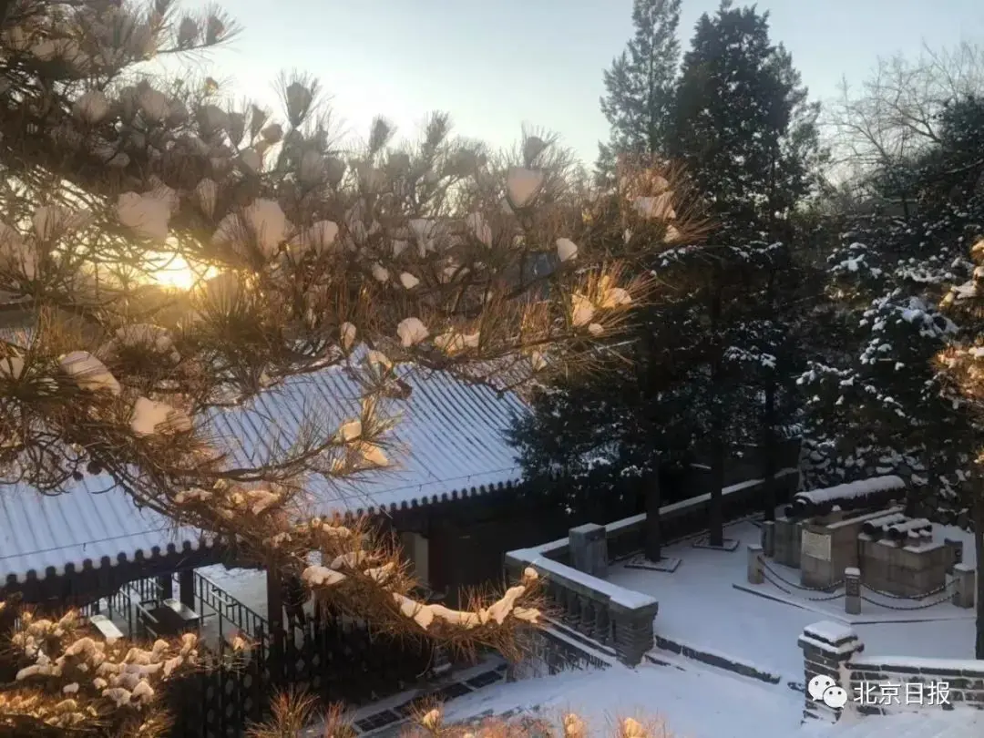 今冬首个寒潮来袭，北京最高温跌破冰点！绝美雪景已到货