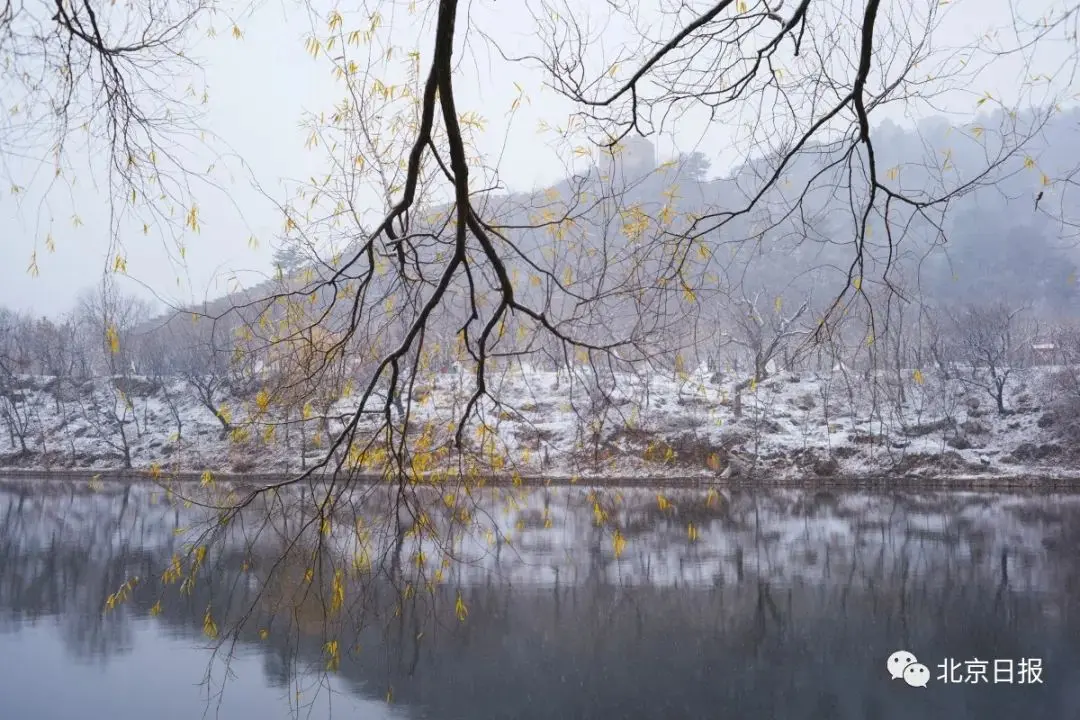 今冬首个寒潮来袭，北京最高温跌破冰点！绝美雪景已到货