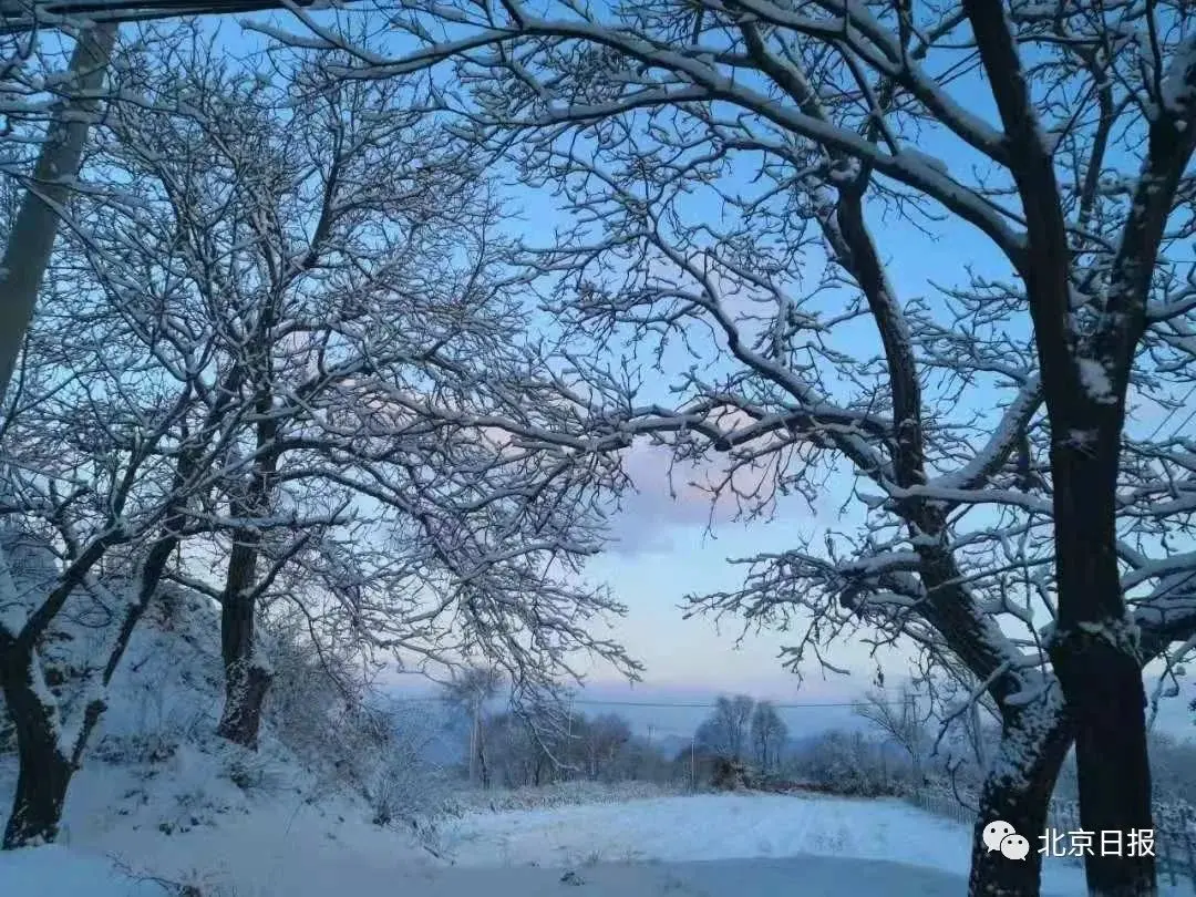 今冬首个寒潮来袭，北京最高温跌破冰点！绝美雪景已到货