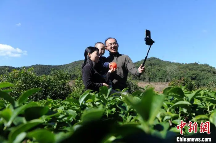 “台三代”接棒种茶：大陆真的有太多机会了