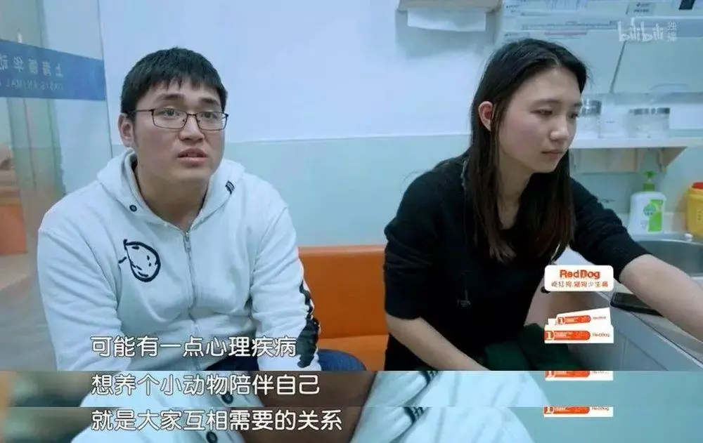 品读｜你养猫了吗？宠物对人有着怎样的“心理疗愈”