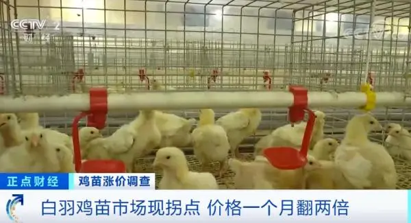 涨涨涨！一个月翻两倍！