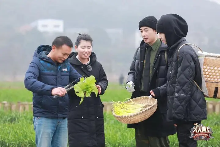 《天天向上》探寻美食边角余料，王一博罗晋厉行节俭干农活