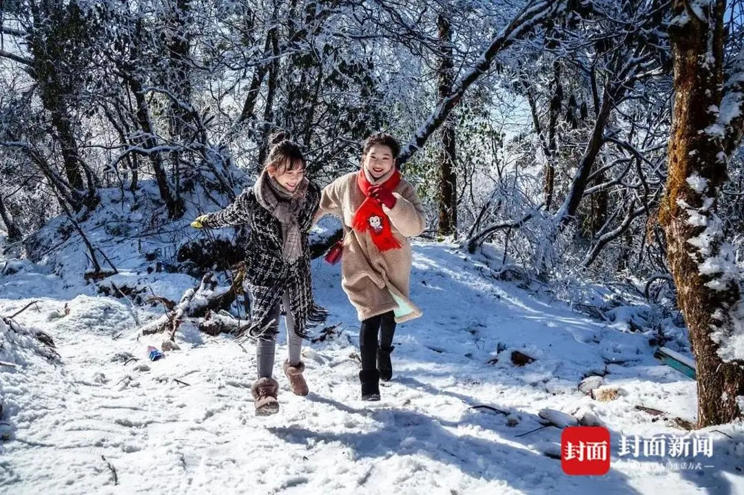 一山雪遇见一朵云 四川峨眉山开启今冬新玩法