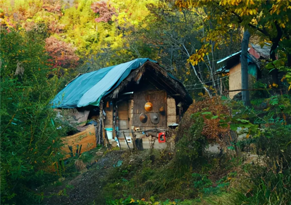 26岁青年隐居终南山，父亲找到一脚踹出：没钱，你学什么陶渊明