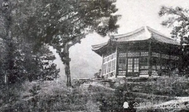 揭秘：1949年，主席险被香山老尼姑暗害，真实身份令人害怕