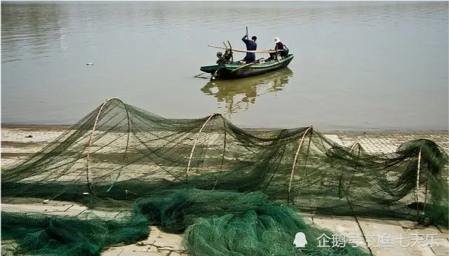 长江“十年禁渔”后，消失了3年的神秘鱼种，又出现了