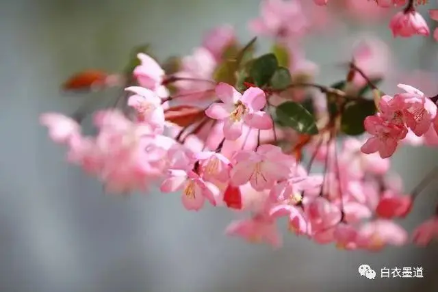 真正有本事的人，忍得下这三种不“如意”