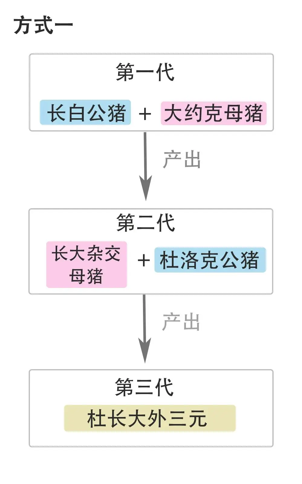 生猪价格又上涨，这背后是什么逻辑？