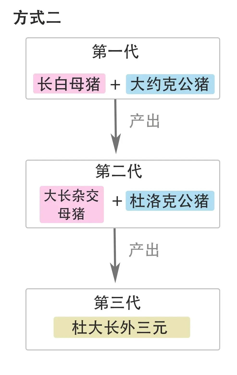 生猪价格又上涨，这背后是什么逻辑？