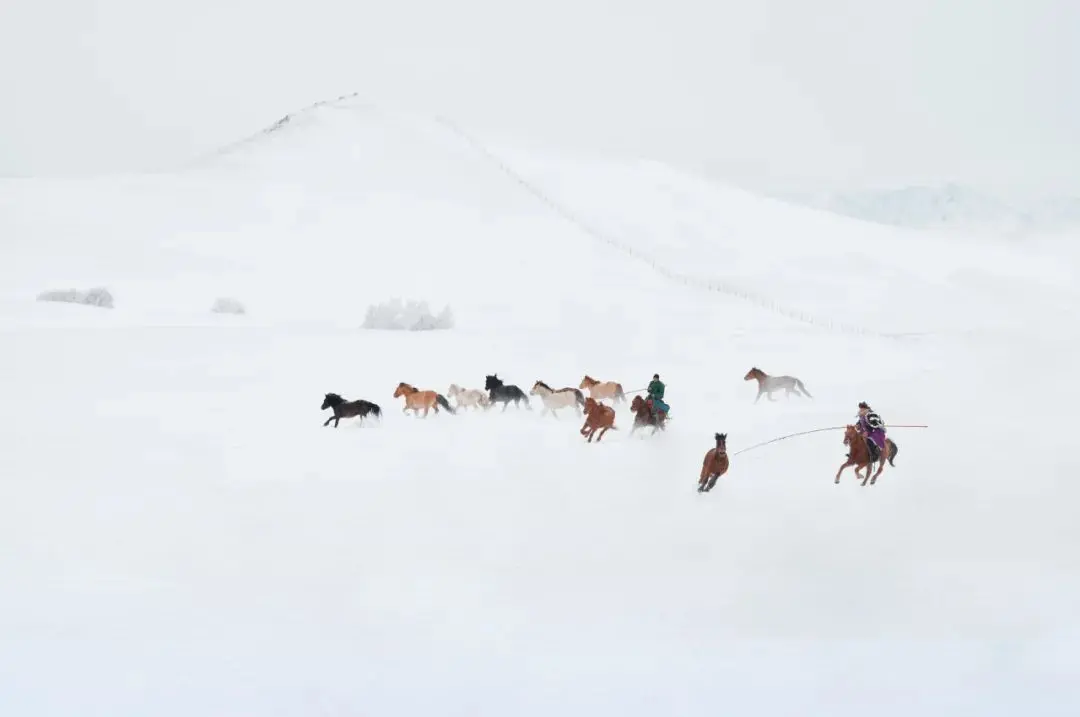 雪，亦是春色