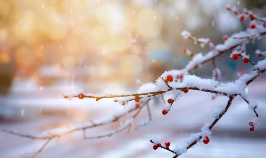 雪，亦是春色