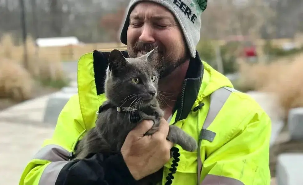 失踪数月的猫咪终于被找回，主人失声痛哭：我再也不会把你弄丢了