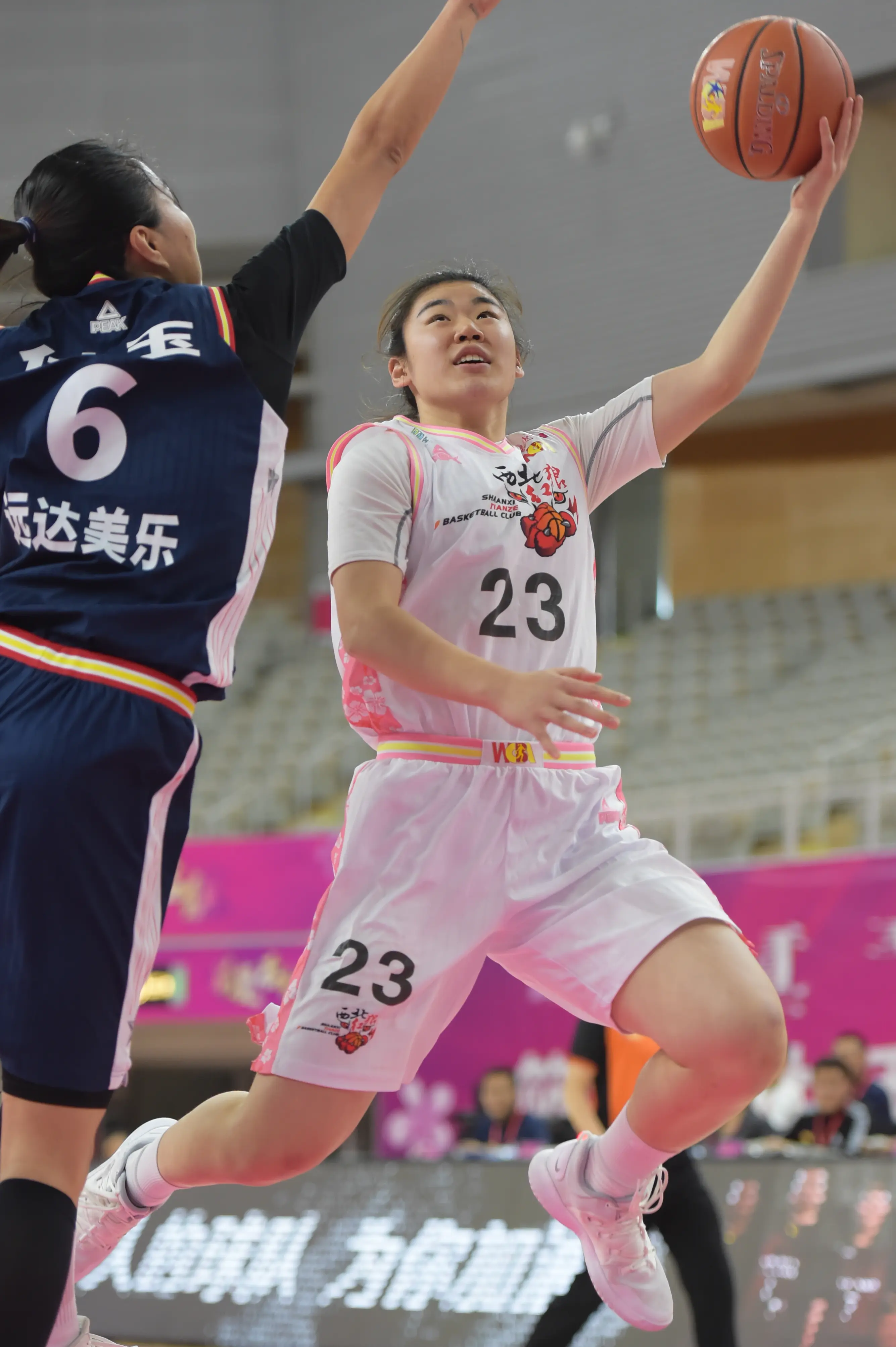 （体育）篮球——WCBA：四川远达美乐胜陕西天泽