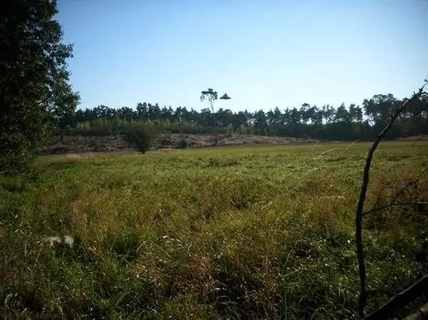 加拿大高空现圆盘状飞行物，真的会有地外飞行器来到地球吗