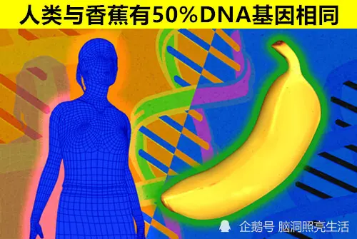 涨知识：关于人体方面的9个让大多数人不知道的有趣冷知识