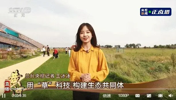 央视的审美，算不算国内巅峰？