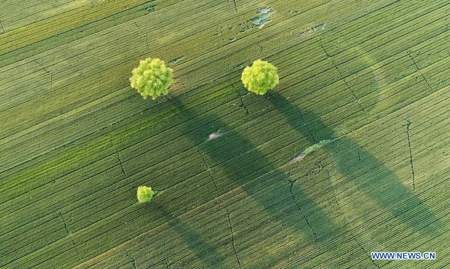 Aerial view across China